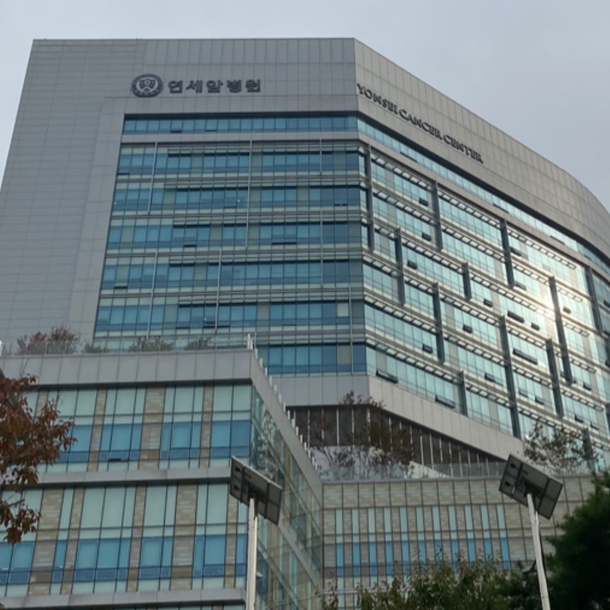 갑상선 암 수술 이후 3달 경과 정기검사 & 흉터 상태